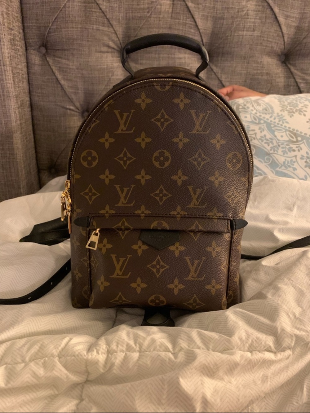 Louis Vuitton Monogram PM Backpack in Brown with Black Straps - Picture 3 of 6